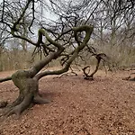 Landidyll * Silenz